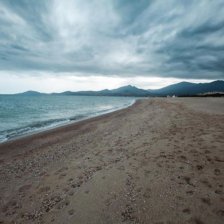 Appartement T2 Les Pieds Dans L'Eau A Argeles-Sur-Mer Argelès-sur-Mer Exterior foto