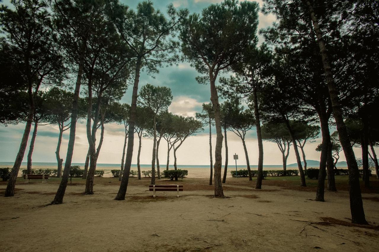 Appartement T2 Les Pieds Dans L'Eau A Argeles-Sur-Mer Argelès-sur-Mer Exterior foto